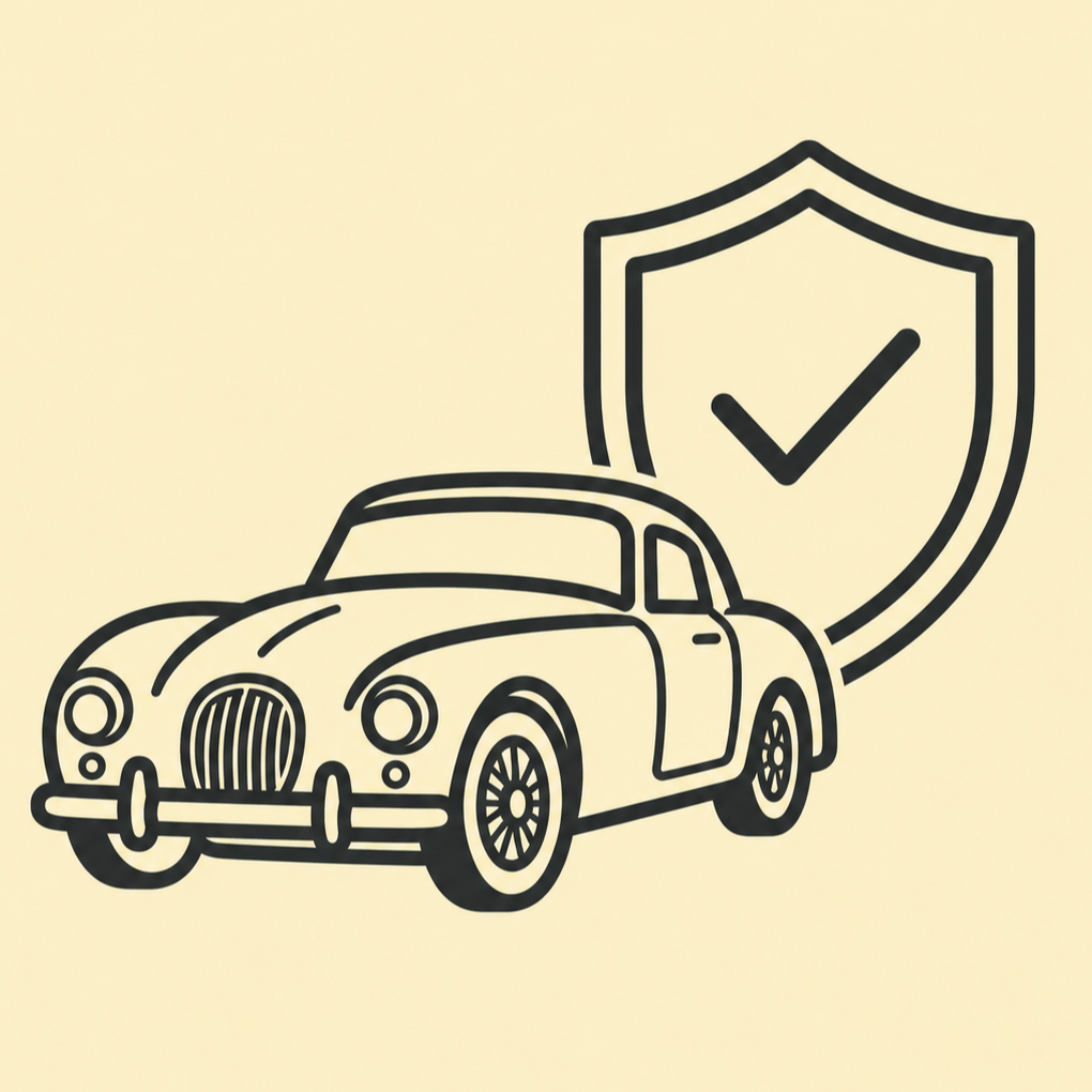 Sicherheitsprüfung Icon